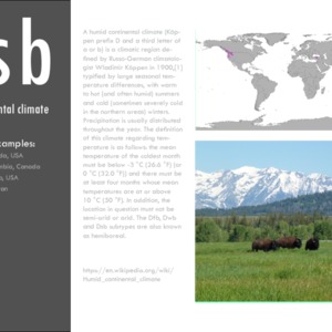 Dsb_Case studies.pdf