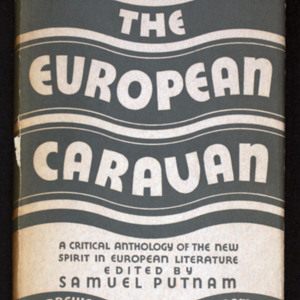 European-caravan-cover-24242532-PM.jpg