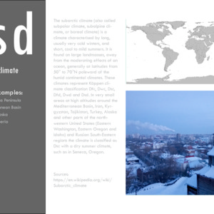 DSD_Case Studies.pdf