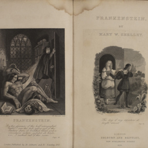 Frankenstein: or, the modern Prometheus