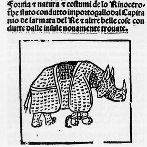 Title page with Rhinoceros